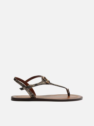 Sandália Rasteira Snake Couro Slim Argola