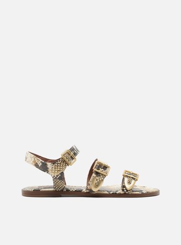 Sandália Rasteira Animal Print Tiras Fivelas