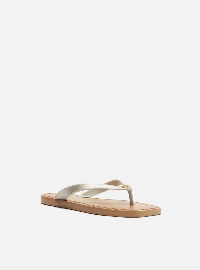 Chinelo de Dedo Prata Tira V Brizza