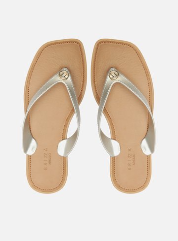 Chinelo de Dedo Prata Tira V Brizza