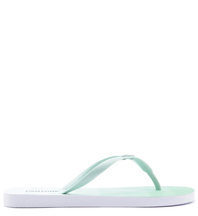 PANTONE | Chinelo Rasteiro Pallete Verde Fresh Pear