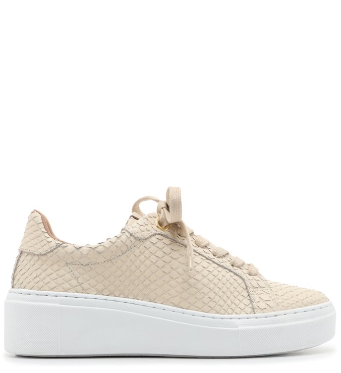 Tenis sola alta arezzo online