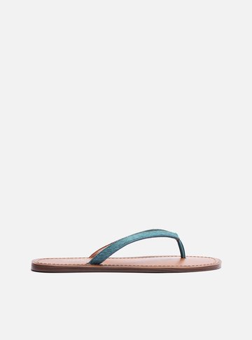 Rasteira Azul Flat Flip Flop