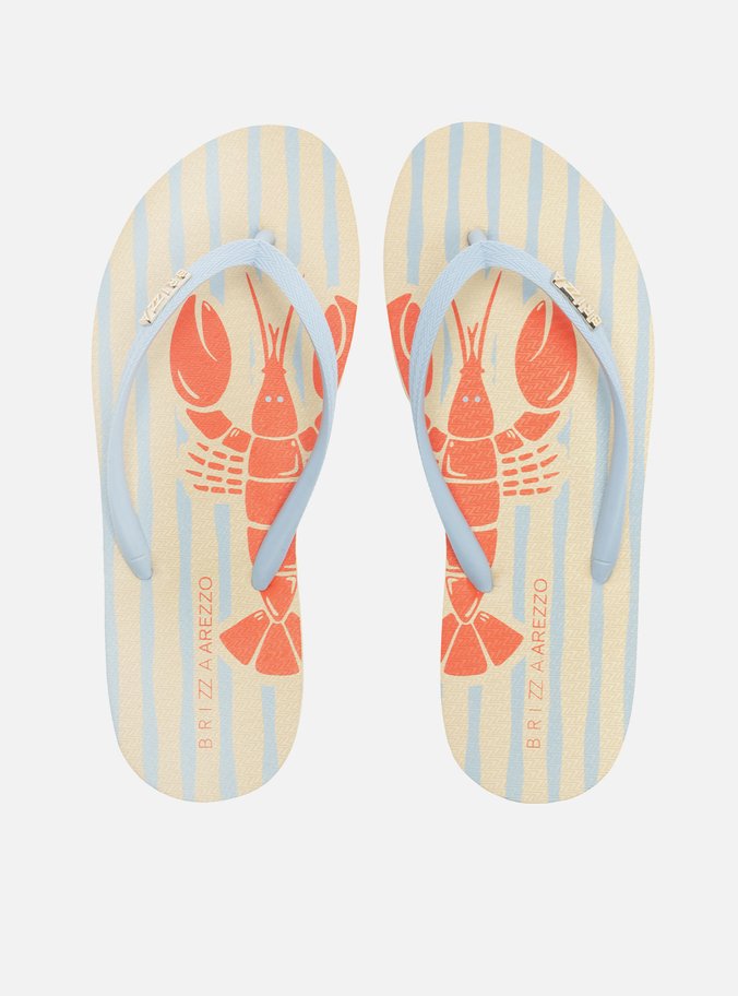 Chinelo de Dedo Azul