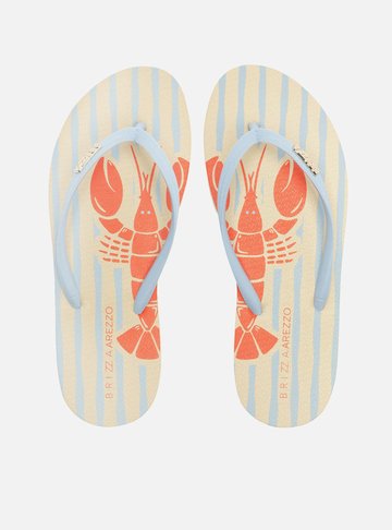 Arezzo — Chinelo de Dedo Azul