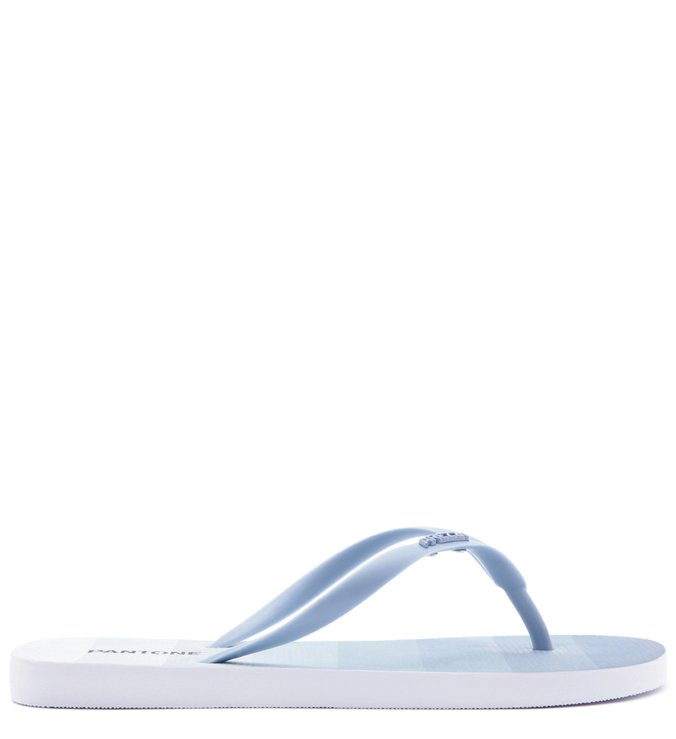 PANTONE | Chinelo Rasteiro Pallete Jelly Blue