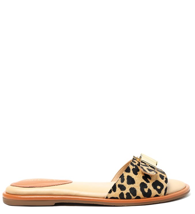 Rasteira Animal Print Clogs Fivela Dourada