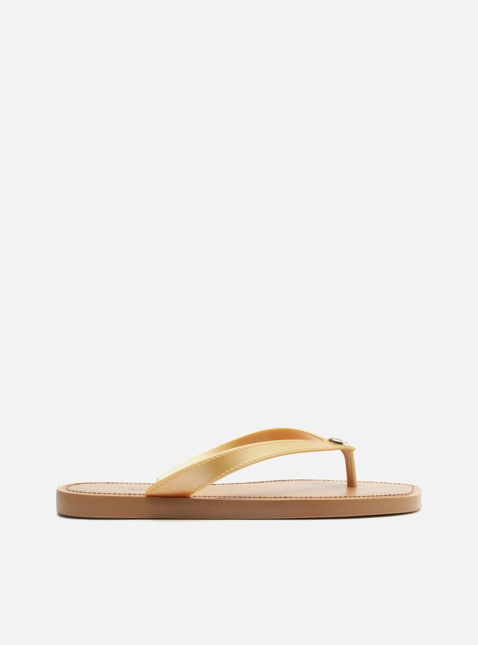 Chinelo de Dedo Dourado Tira V Brizza