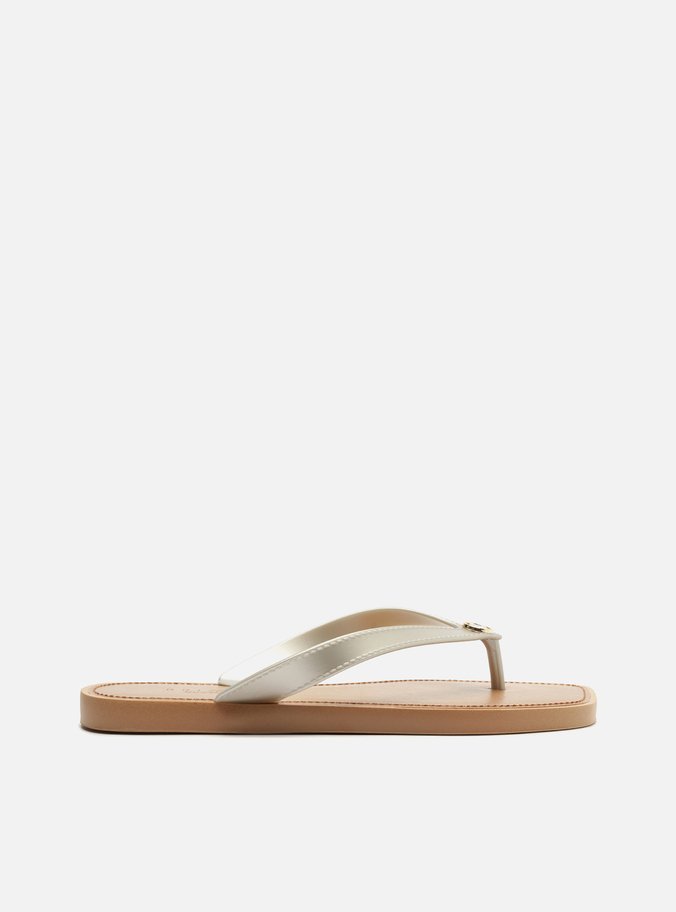 Chinelo de Dedo Prata Tira V Brizza