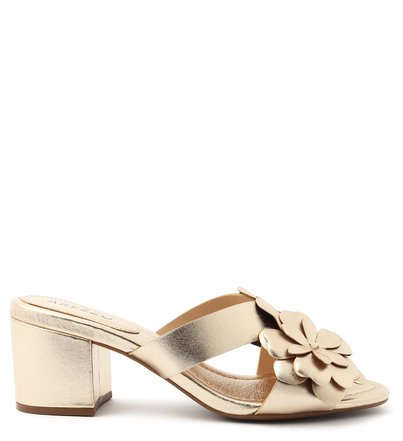 mule branca arezzo