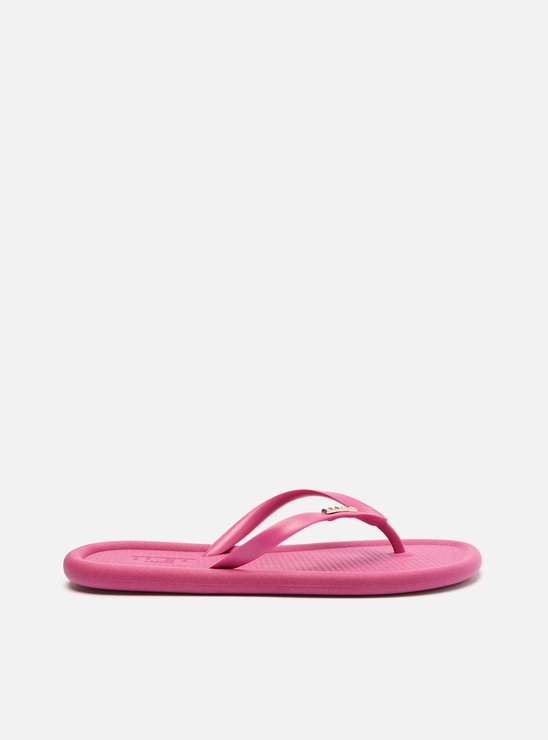 Chinelo de Dedo Roxo Tiras Bold Brizza