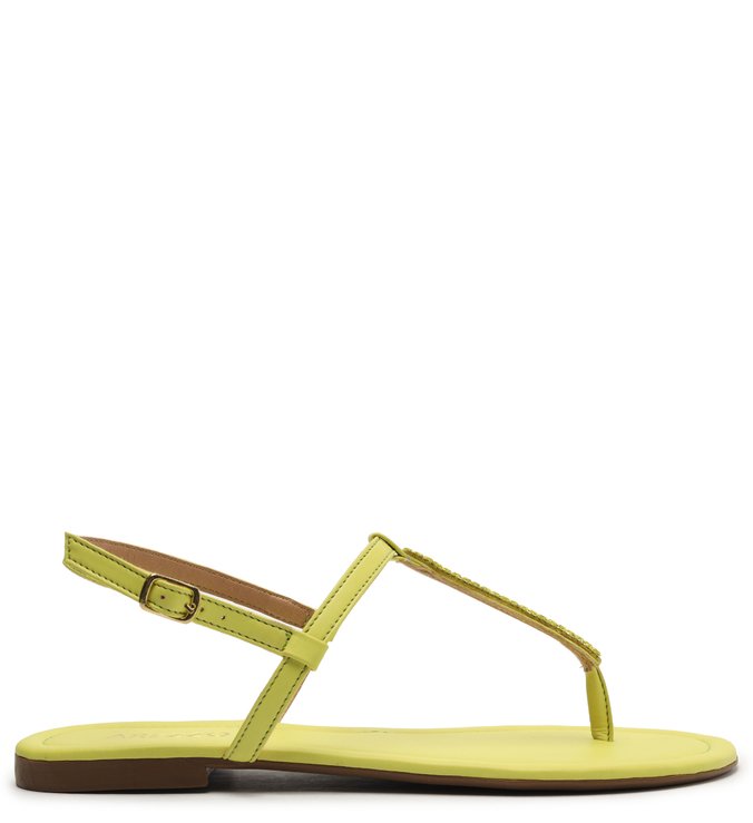 Sandália Rasteira Slim Verde Pedrarias