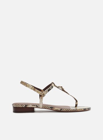 Sandália Animal Print Slim Fivela