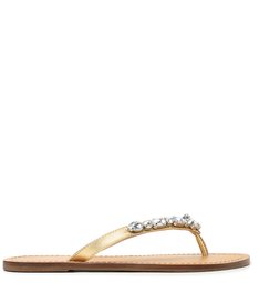 Rasteira Dourada Pedrarias Extra